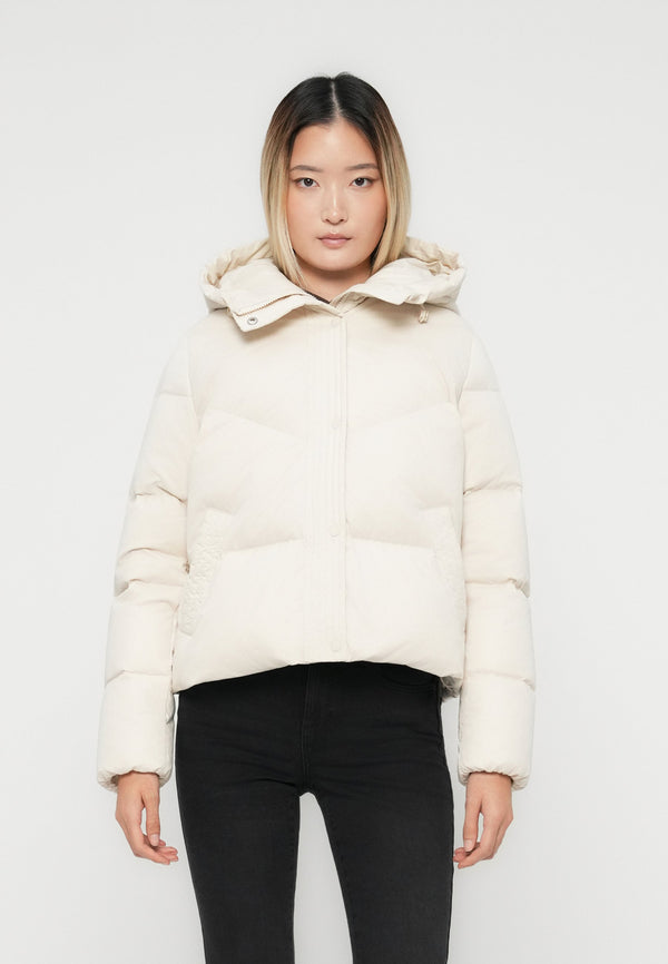 ONLCLARA JACKET - Doudoune - birch